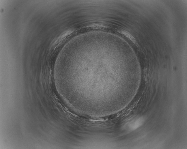 X0000067481111200604071132