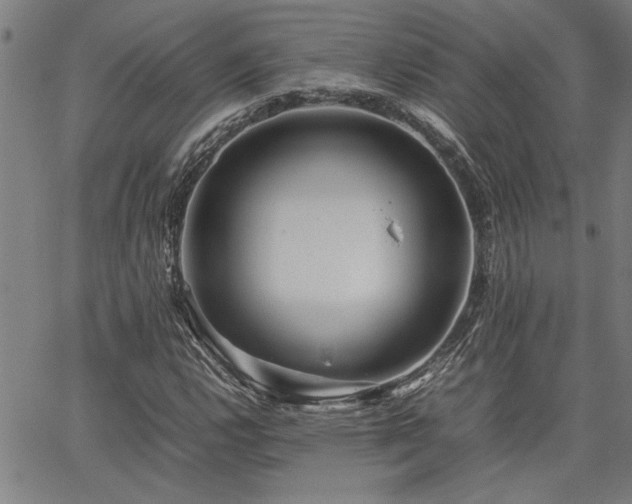 X0000067481112200604071132