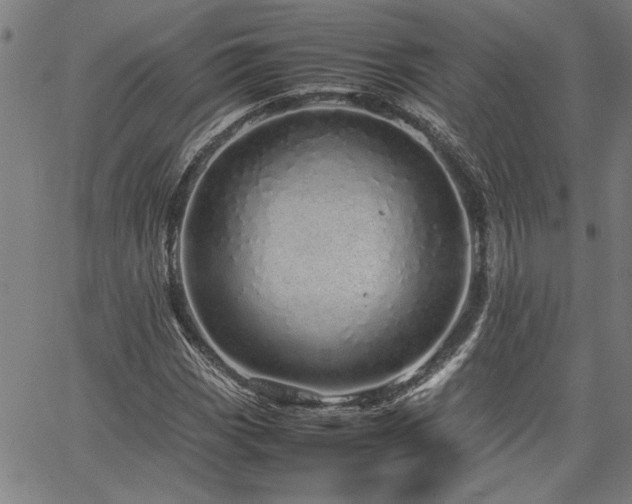 X0000067481113200604071132