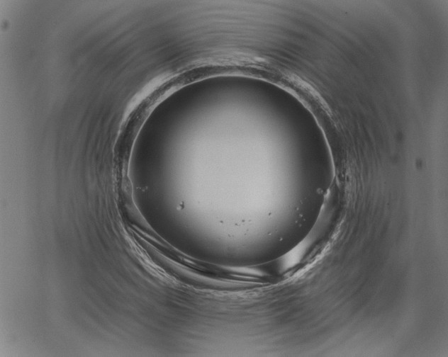 X0000067481114200604071132