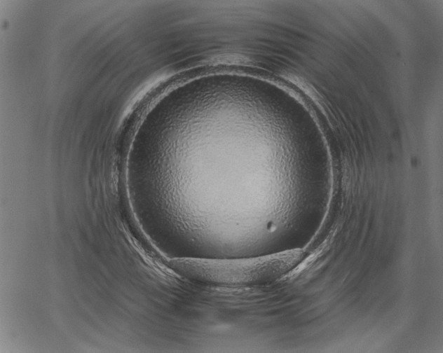 X0000067481115200604071132