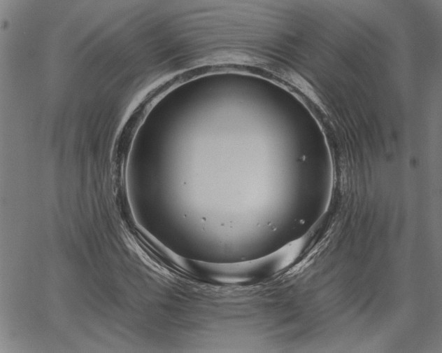 X0000067481116200604071132