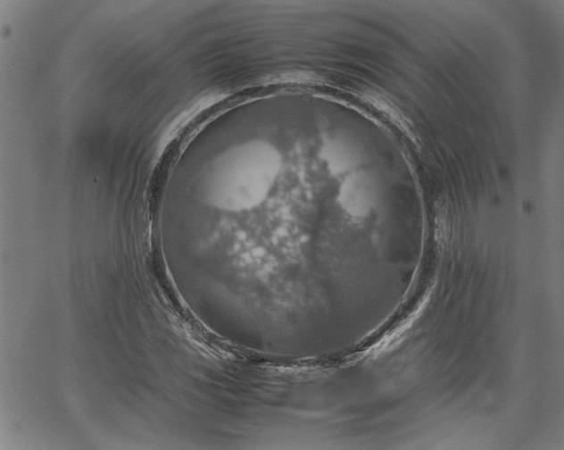 X0000067481117200604071132