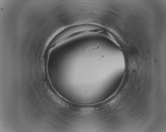 X0000067481118200604071132