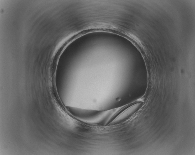 X0000067481120200604071132