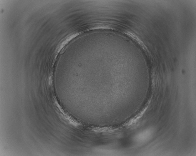 X0000067481121200604071132