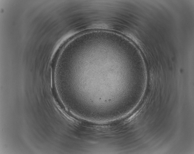 X0000067481123200604071132