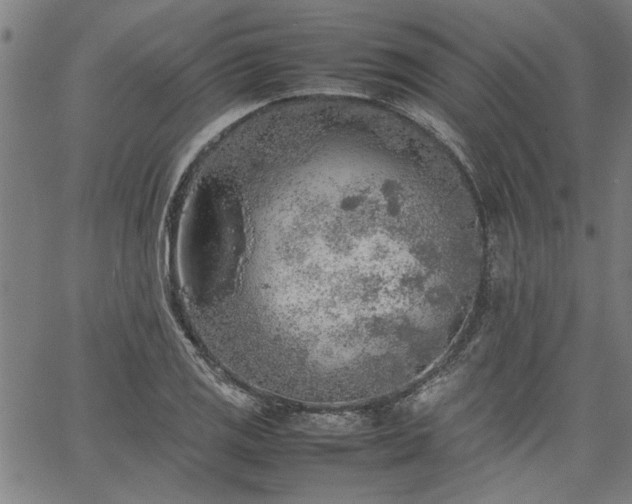 X0000067481125200604071132