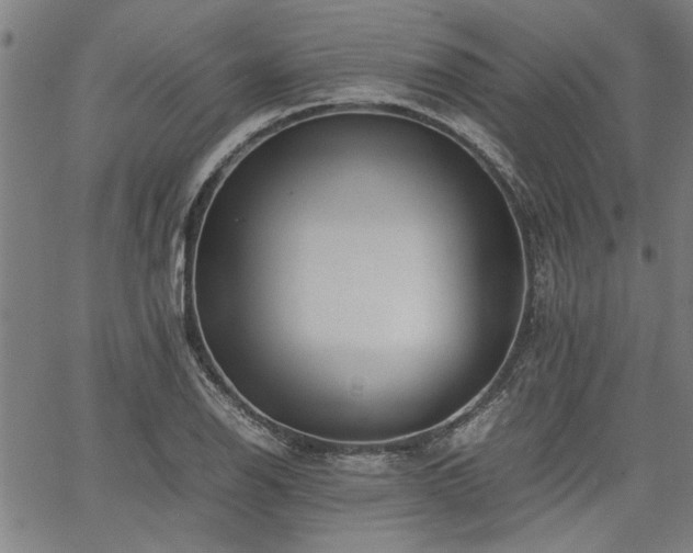 X0000067481126200604071132