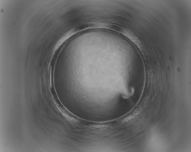 X0000067481127200604071132