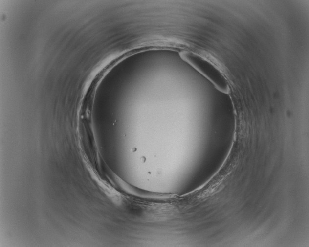 X0000067481128200604071132