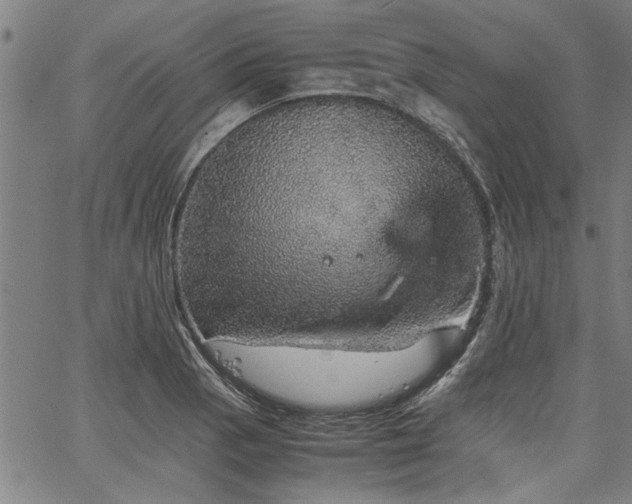 X0000067481129200604071132