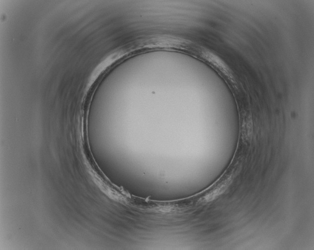 X0000067481130200604071132