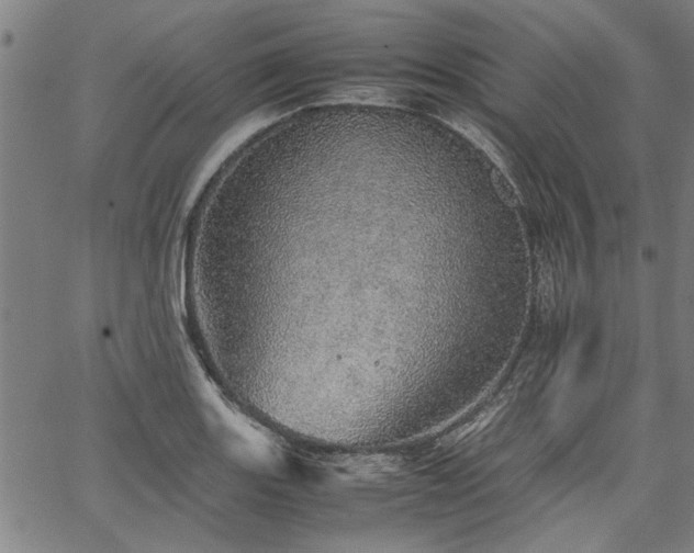 X0000067481131200604071132