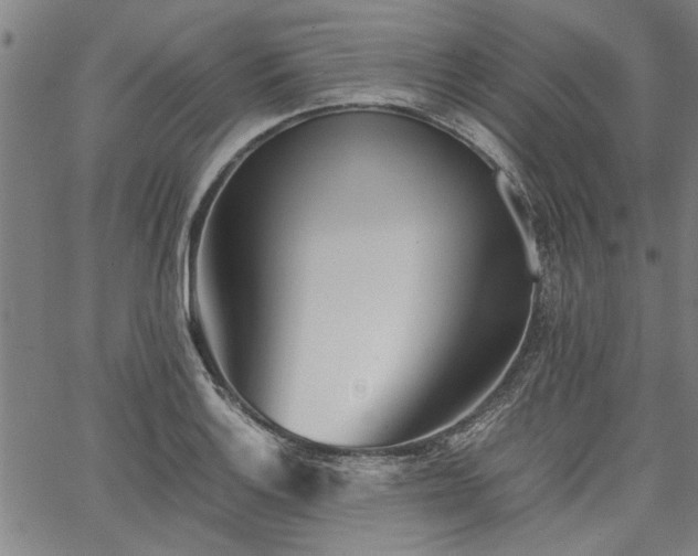 X0000067481132200604071132