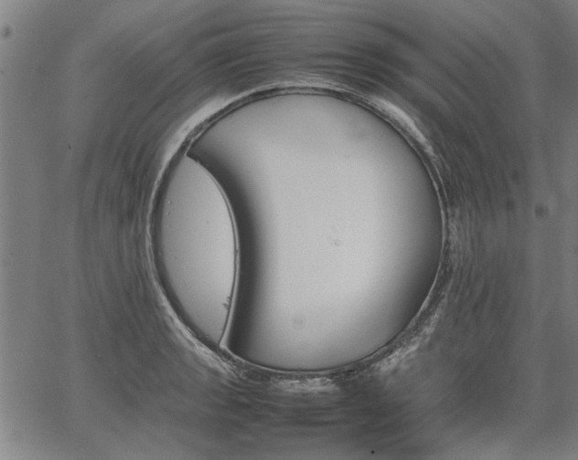 X0000067481133200604071132