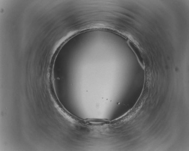 X0000067481134200604071132