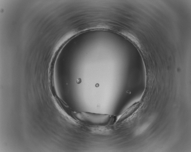 X0000067481135200604071132