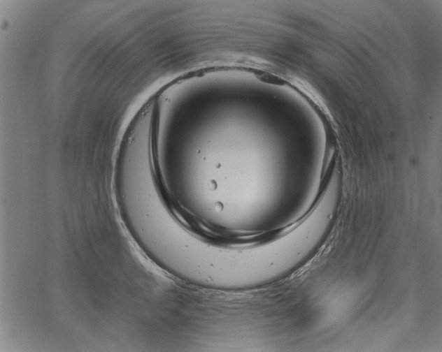 X0000067481136200604071132