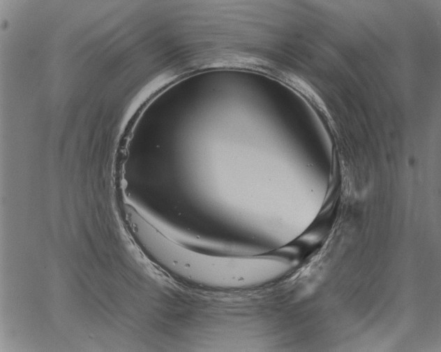 X0000067481138200604071132