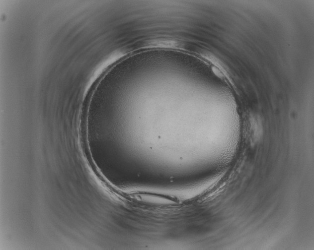 X0000067481139200604071132