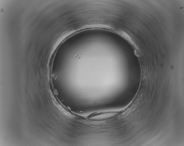 X0000067481140200604071132