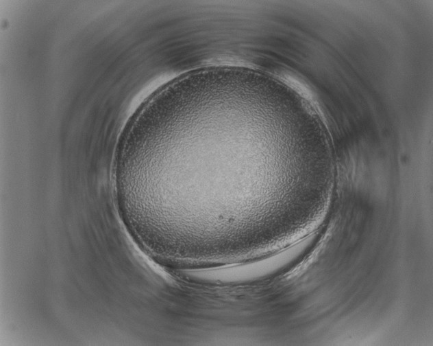 X0000067481141200604071132