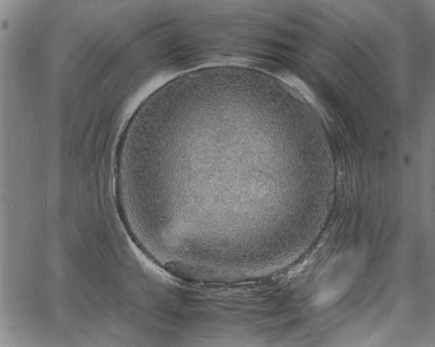 X0000067481143200604071132