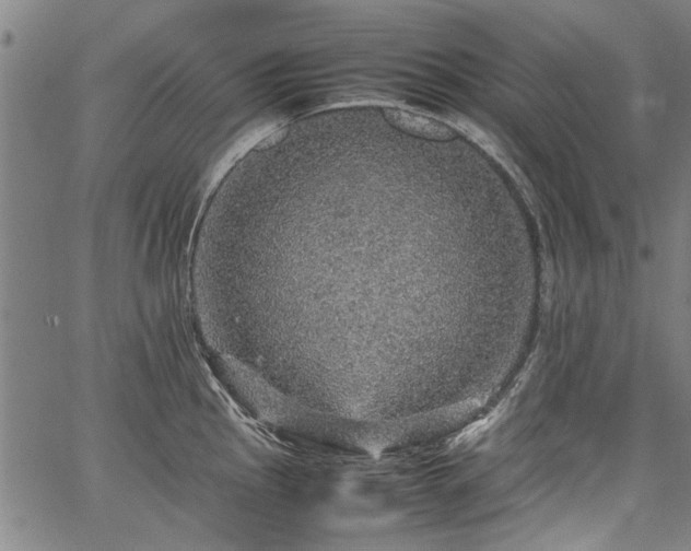 X0000067481145200604071132