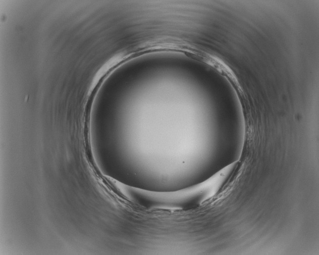 X0000067481146200604071132