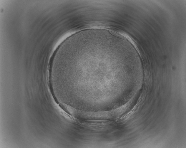 X0000067481147200604071132