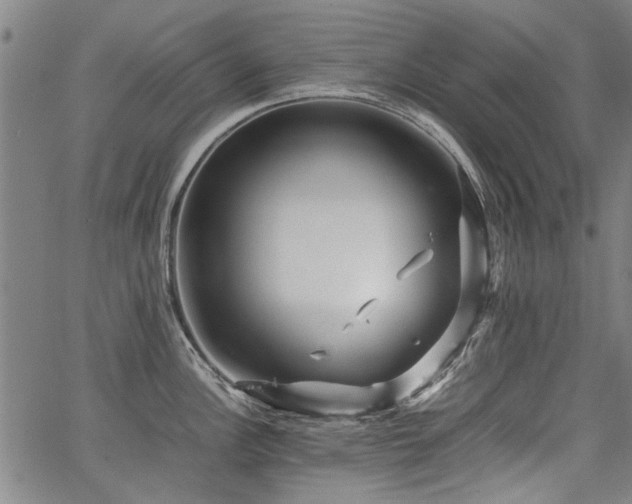 X0000067481148200604071132