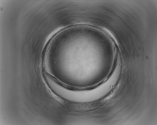 X0000067481149200604071132