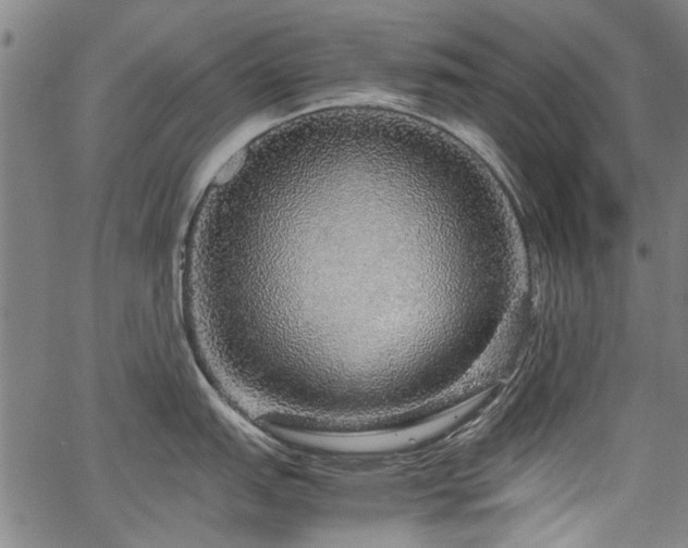 X0000067481151200604071132