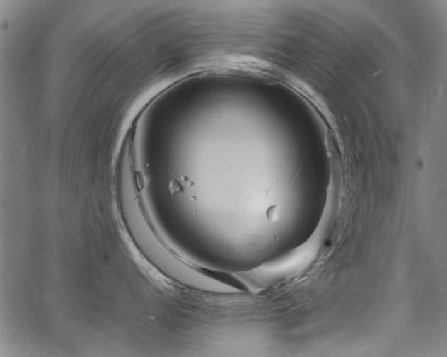 X0000067481152200604071132