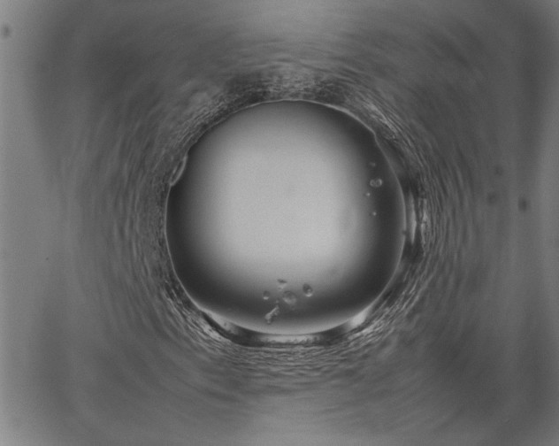 X0000067481153200604071131