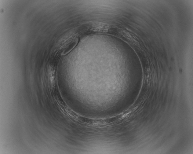 X0000067481154200604071131