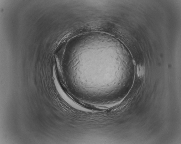 X0000067481155200604071131