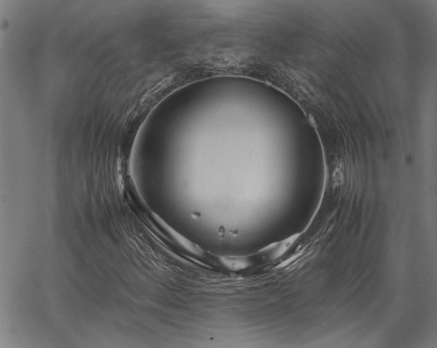 X0000067481156200604071131