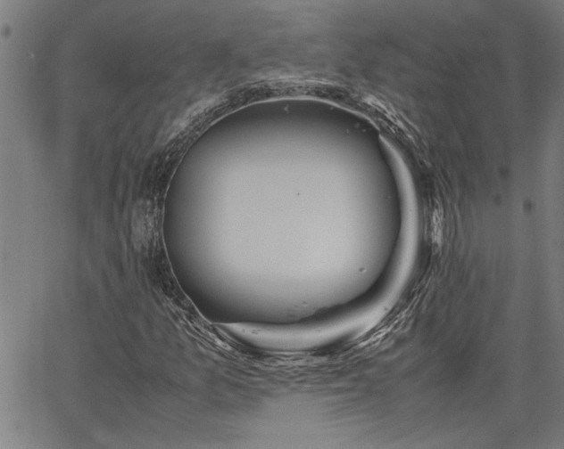 X0000067481157200604071131