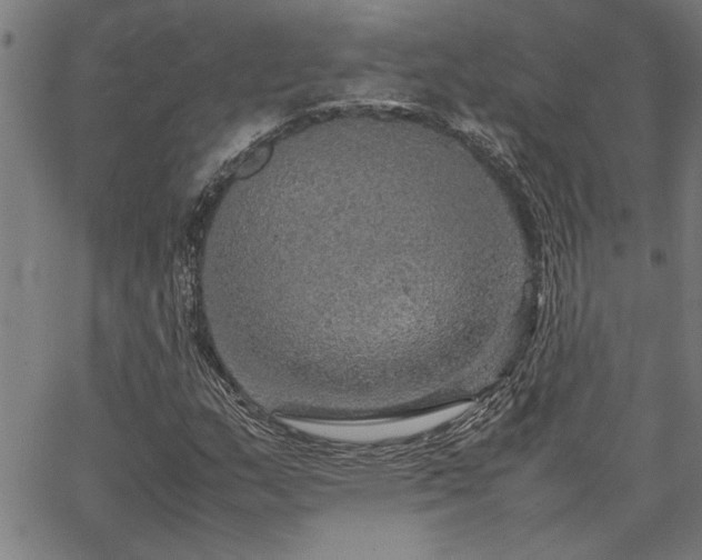 X0000067481159200604071131