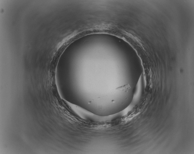 X0000067481160200604071131