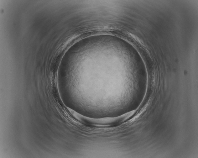 X0000067481161200604071131