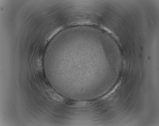 X0000067481162200604071131