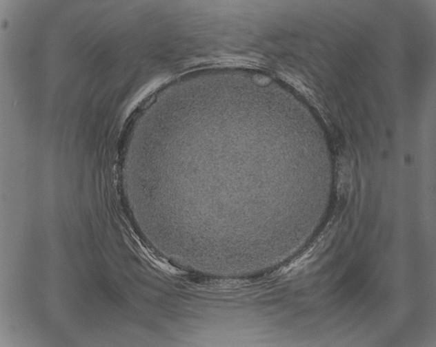 X0000067481163200604071131