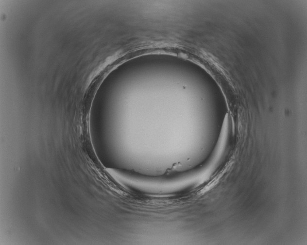 X0000067481165200604071131