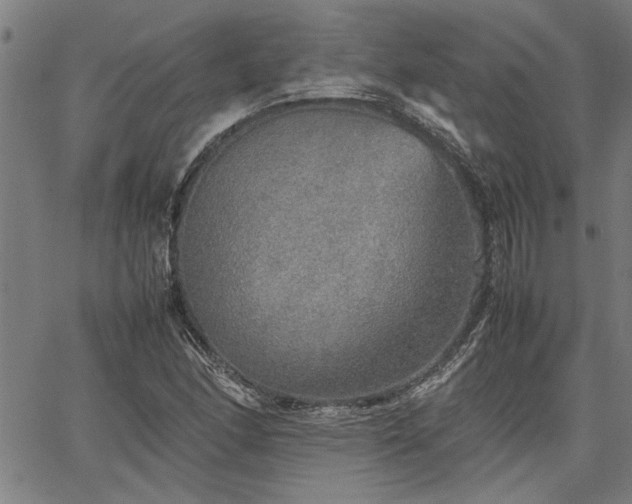 X0000067481166200604071131