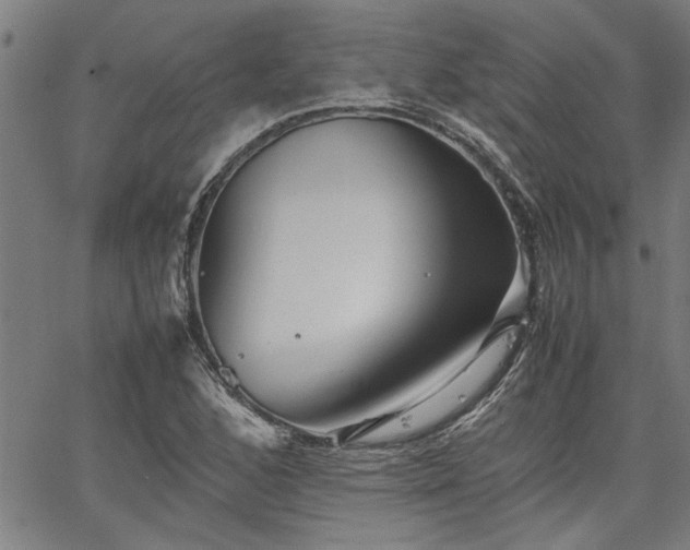 X0000067481168200604071131