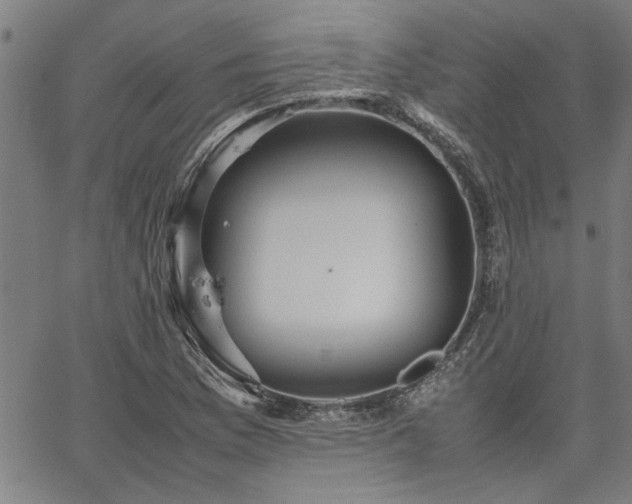 X0000067481169200604071131