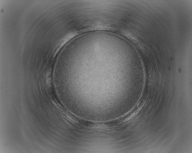 X0000067481170200604071131